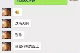 温县贷款清欠服务